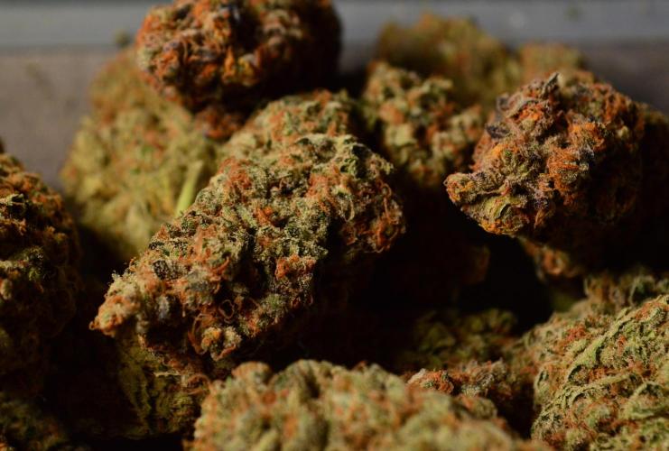 •WC×BBC • Lemonite•. Week 17