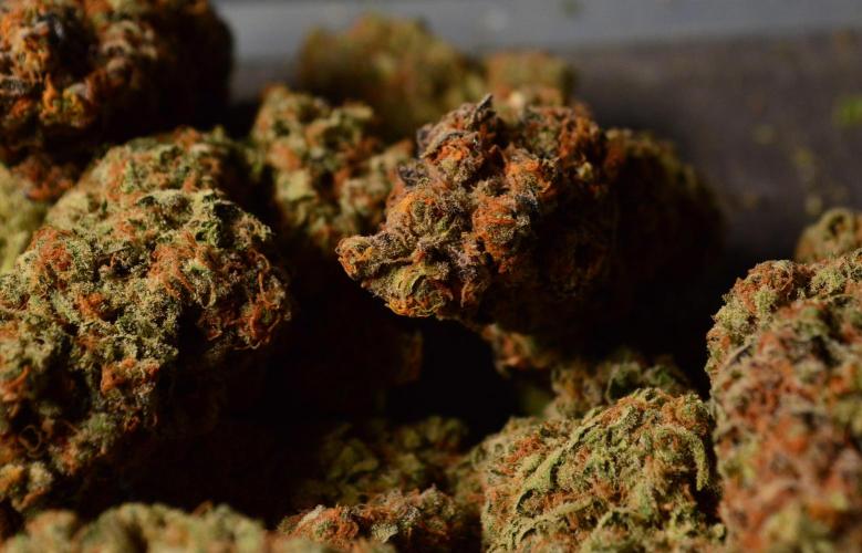 •WC×BBC • Lemonite•. Week 17