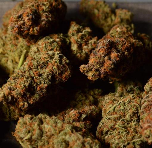 •WC×BBC • Lemonite•. Week 17