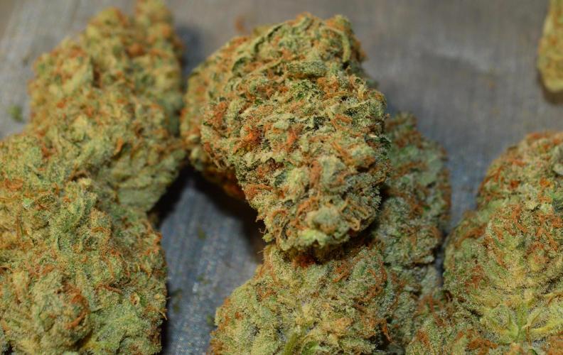 •WC×BBC • Lemonite•. Week 17