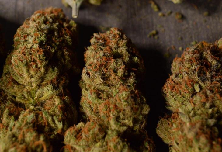 •WC×BBC • Lemonite•. Week 17