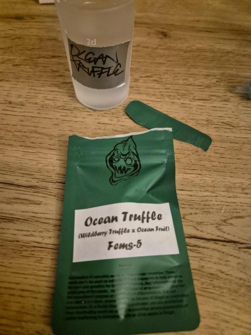 • Ocean Truffle •. Week 0