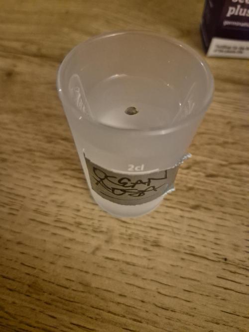 • Ocean Rosa •. Week 0