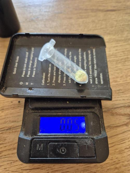 Micro-Reversal - Collodial Silver&STS. Week 8
