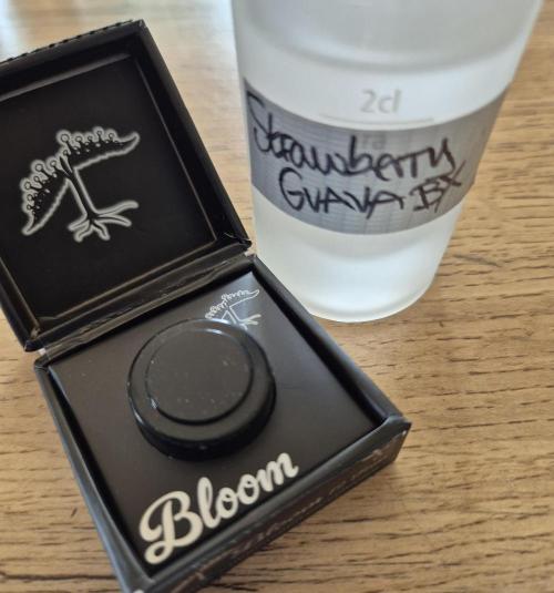 •Strawberry Guava BX•. Week 0