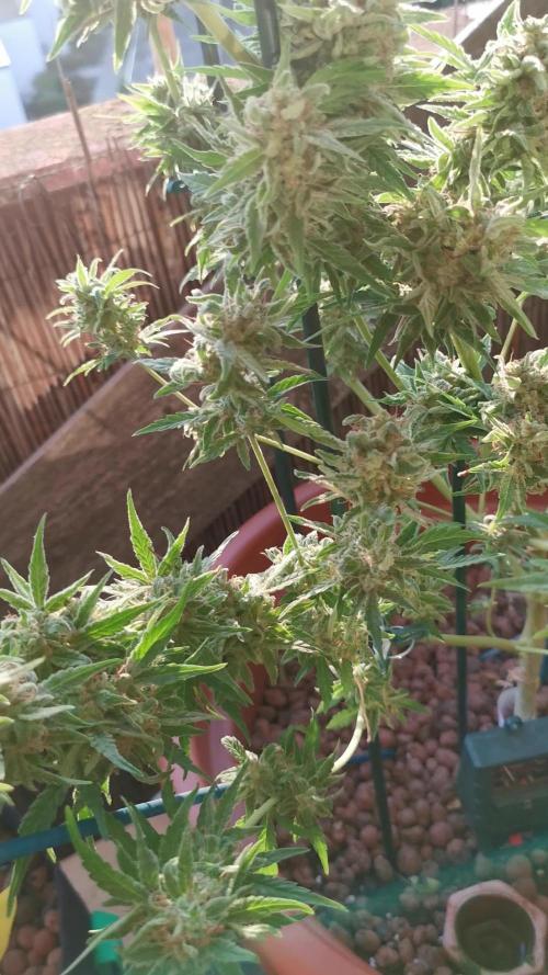 Outdoor3