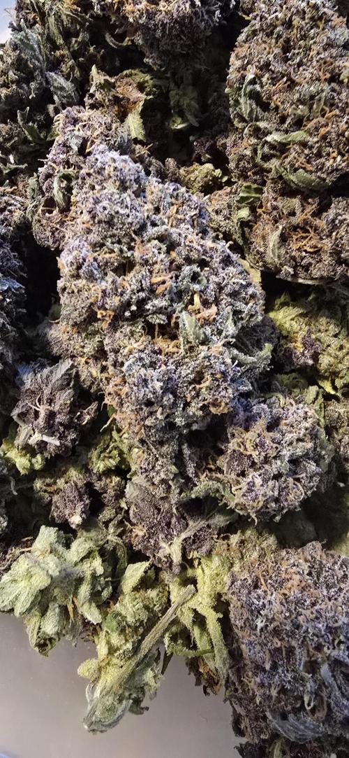 Lemon Cherry Cookies - Second Indoor. Week 9