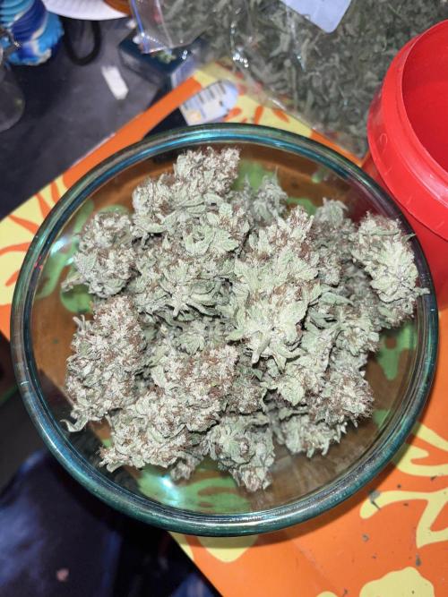 first time in coco grow. Week 13