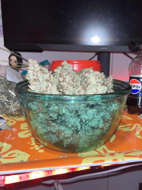 first time in coco grow. Week 13