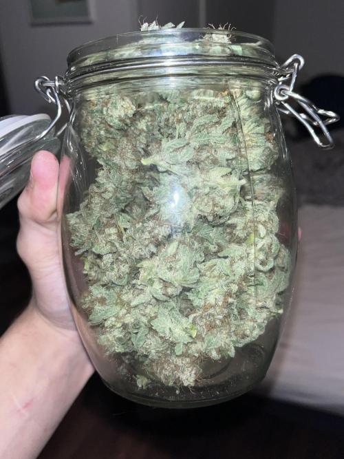 first time in coco grow. Week 14