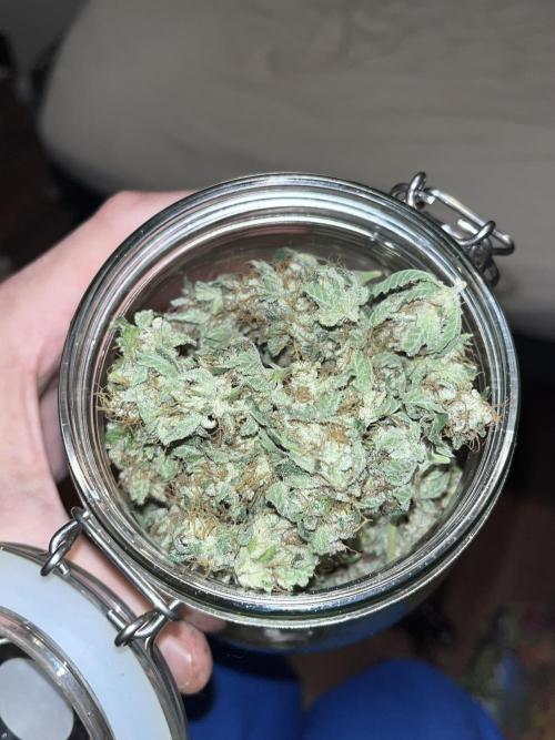 first time in coco grow. Week 14