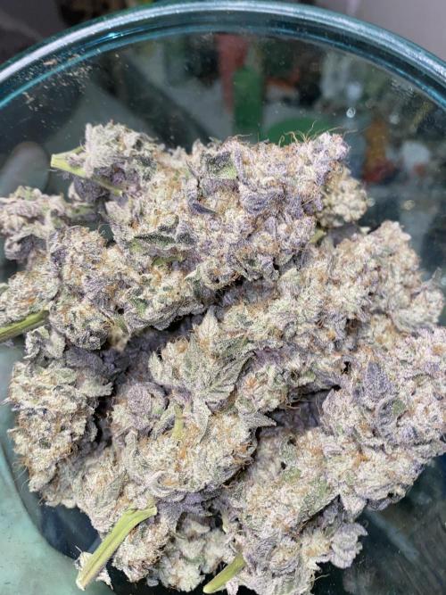 first time in coco grow. Week 14