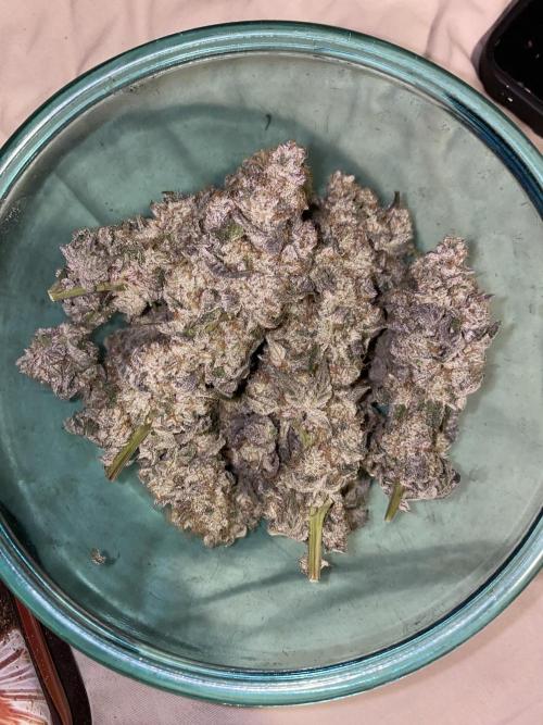 first time in coco grow. Week 14