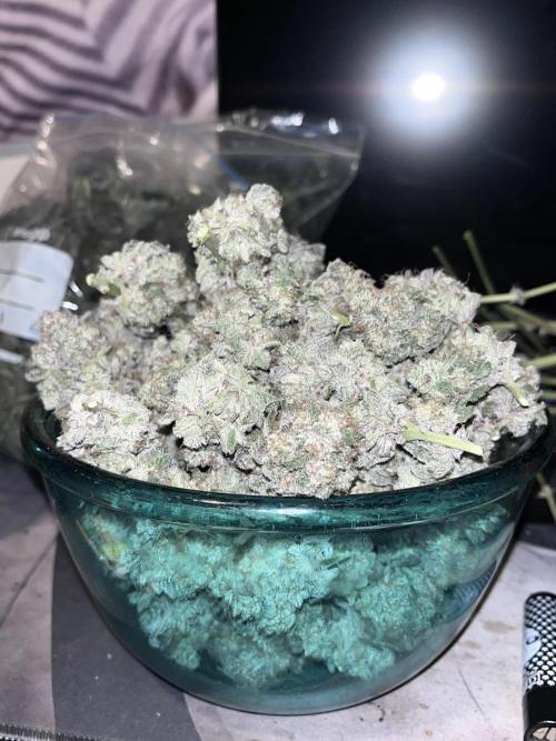 first time in coco grow. Week 14