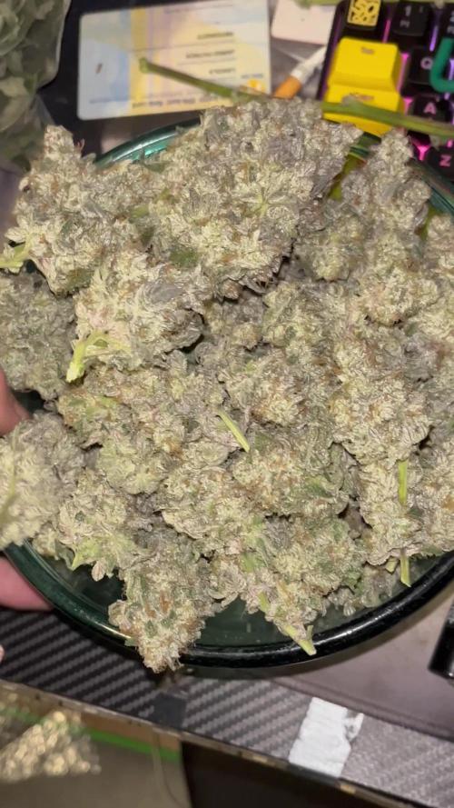 first time in coco grow