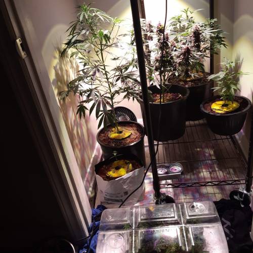 City slicker. Week 1