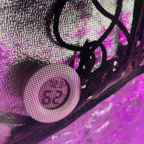 Tent 3 "Teens". Week 5