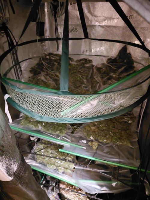 Hawaii goes to Germany. Week 20