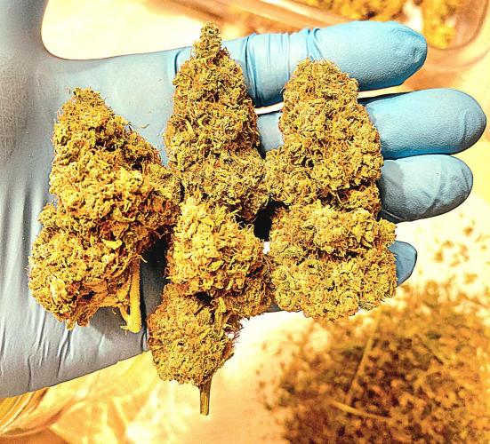 Hawaii goes to Germany. Week 20