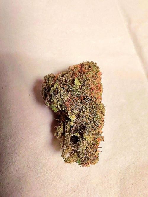 Hawaii goes to Germany. Week 20