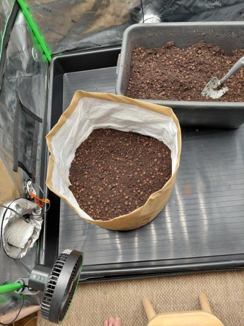 landrace. Week 2