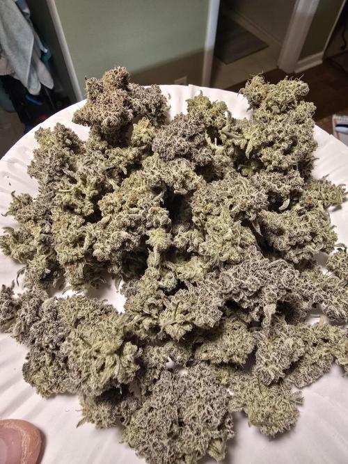Mutation ❤️. Week 14 - After dry