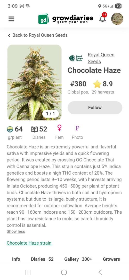 🍫 haze. Week 0