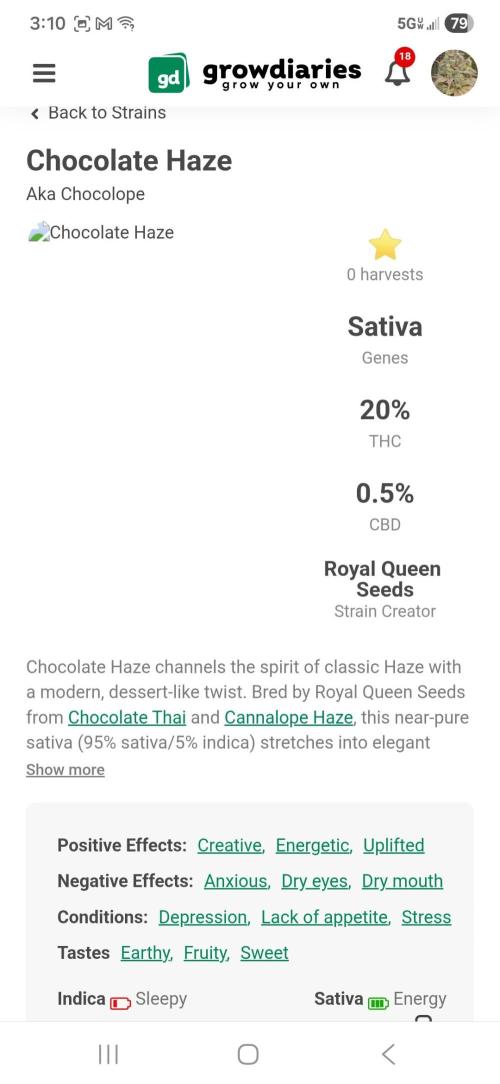 🍫 haze. Week 0