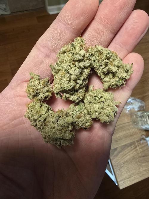 @Grow4Releaf. Week 19 - This is the flower that came from the branch that broke off 