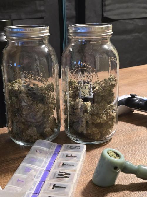 @Grow4Releaf. Week 19