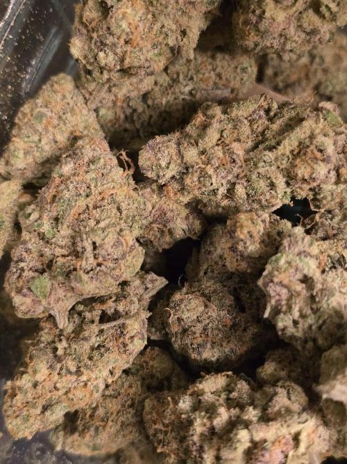 @Grow4Releaf. Week 19 - Inside jar no flash