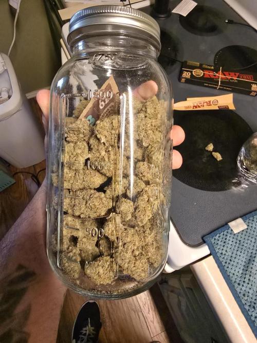 @Grow4Releaf. Week 19