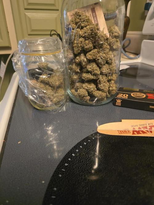 @Grow4Releaf. Week 19