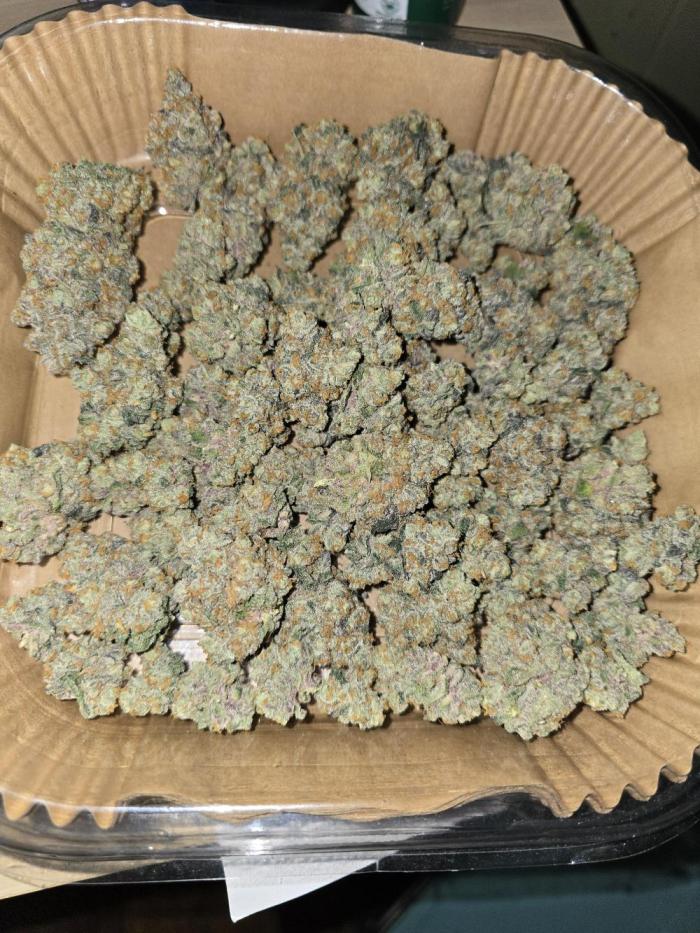 Gelato 41. Week 17