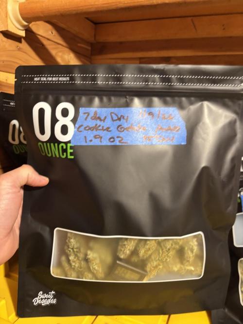 Grape Ape/Cookie Gelato. Week 11