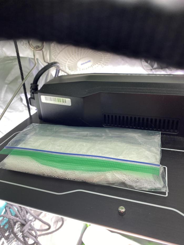 First grow in 2 years. Week 0