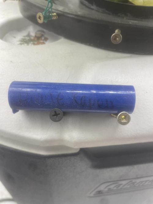 Divine Rapier(Divine Seeds). Week 11