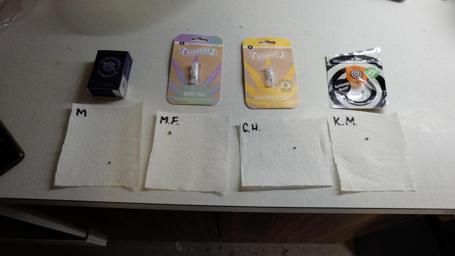 The Hippopotamus's Garden 1. Week 0