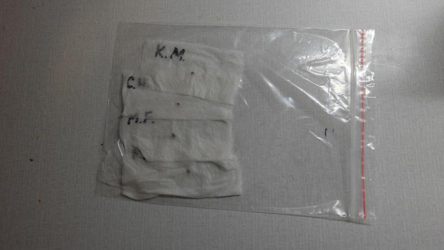 The Hippopotamus's Garden 1. Week 0