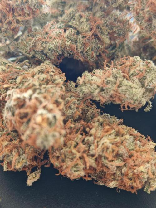 Concours KHALIFA GENETICS. Week 9