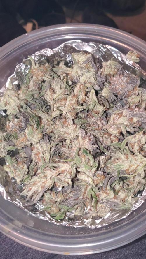 Yinz ain't ready for this...