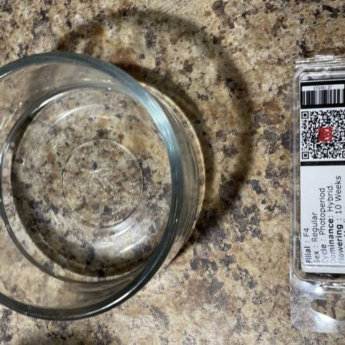 The Donald WSS. Week 0