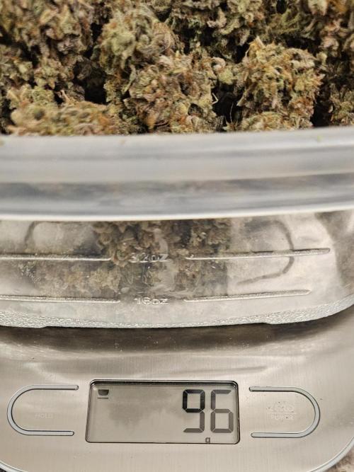 Fastbuds/Mephisto mix 2025. Week 14