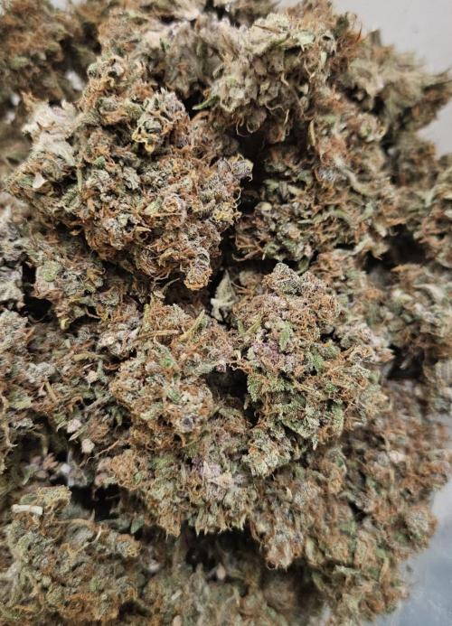 Fastbuds/Mephisto mix 2025. Week 14