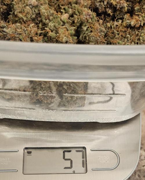 Fastbuds/Mephisto mix 2025. Week 14