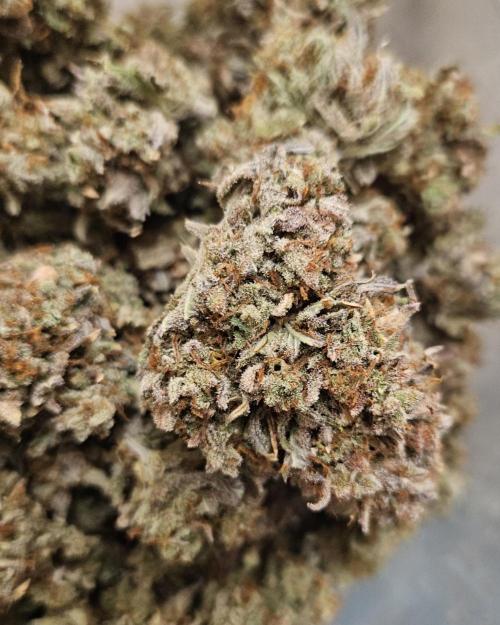 Fastbuds/Mephisto mix 2025. Week 14