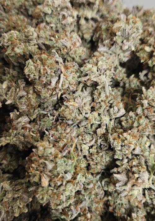 Fastbuds/Mephisto mix 2025. Week 14