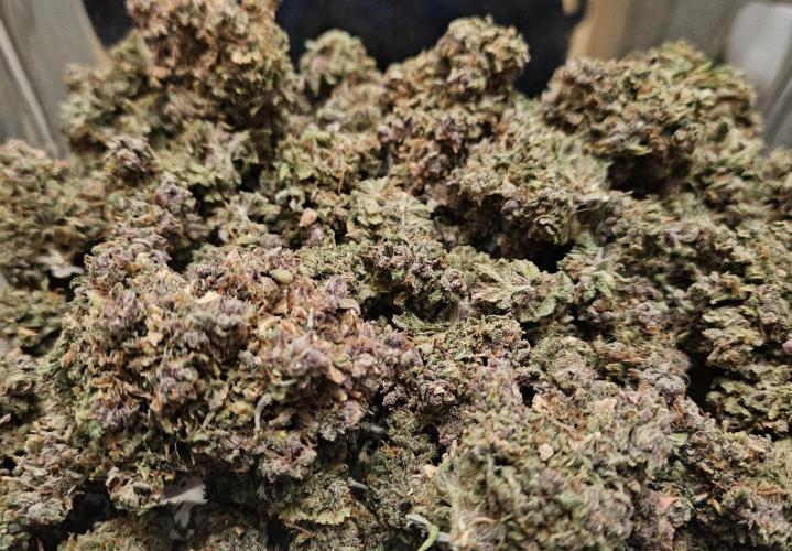 Fastbuds/Mephisto mix 2025. Week 15