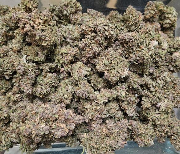 Fastbuds/Mephisto mix 2025. Week 15