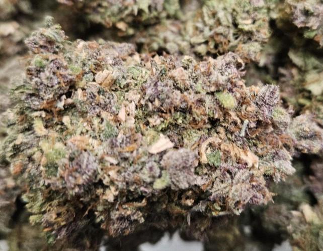 Fastbuds/Mephisto mix 2025. Week 15